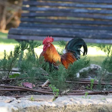 Appartement De Charme *
